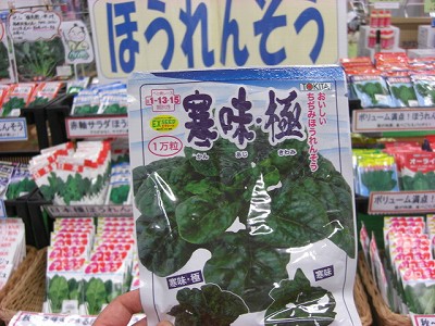 店長おすすめ たくさんの種類がある ほうれん草 のタネの中から この秋 注目は 寒味 極 ちぢみほうれん草 従来の 寒味 がさらに葉色が濃く 美味しくなって 極み がつきました 葉肉が厚く 甘い 食べ応えがあります